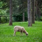 Camping Vall De